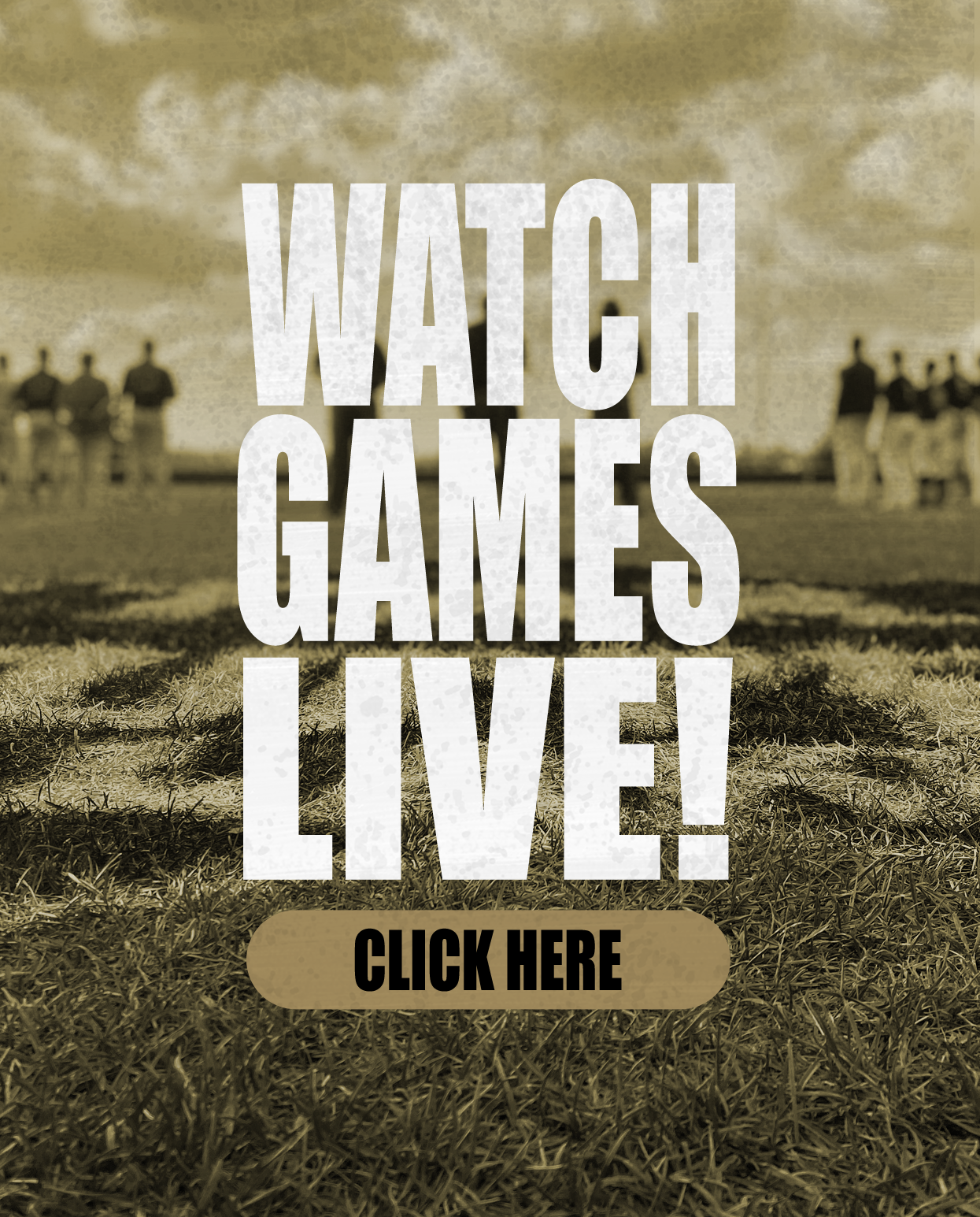 Tupper-Lake-Riverpigs-Post-Watch-Live-Games
