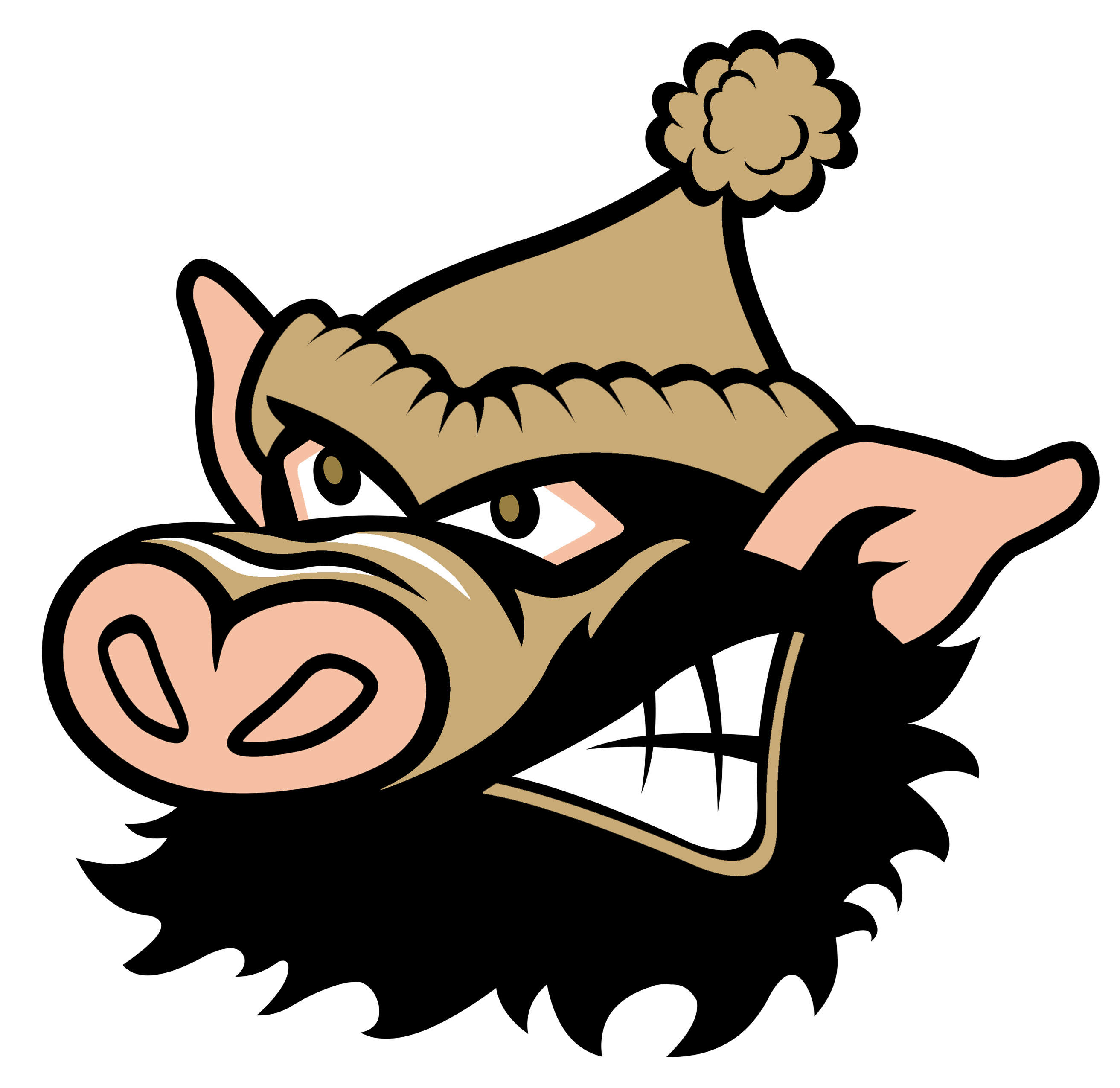 Official Site of The Tupper Lake Riverpigs